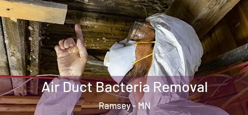  Air Duct Bacteria Removal Ramsey - MN