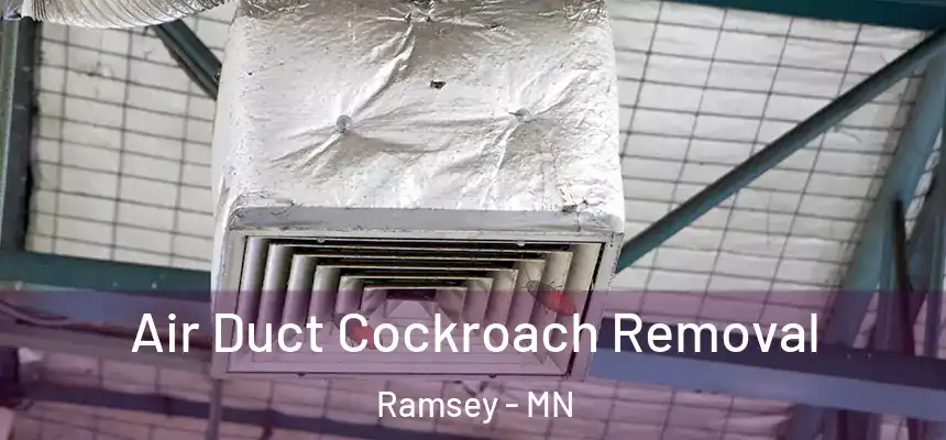  Air Duct Cockroach Removal Ramsey - MN