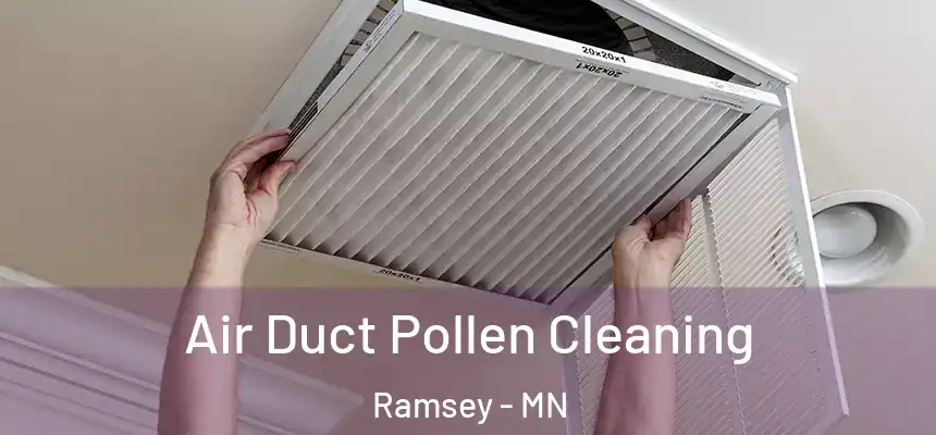  Air Duct Pollen Cleaning Ramsey - MN