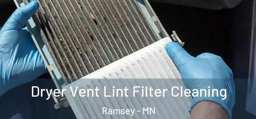  Dryer Vent Lint Filter Cleaning Ramsey - MN
