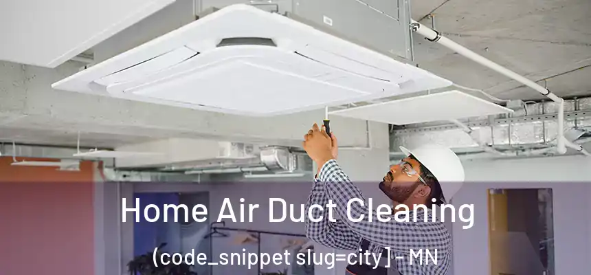  Home Air Duct Cleaning (code_snippet slug=city] - MN