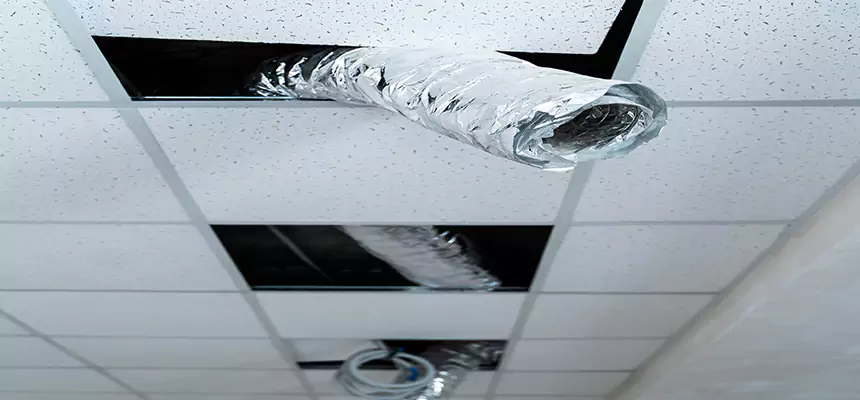 Our Air Duct Pet Hair Removal Services in Ramsey, MN