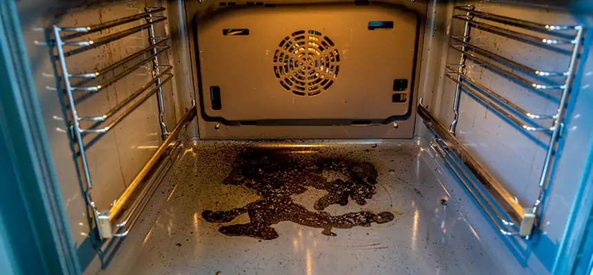 Our Dryer Vent Mold Cleaning Services in Ramsey, MN