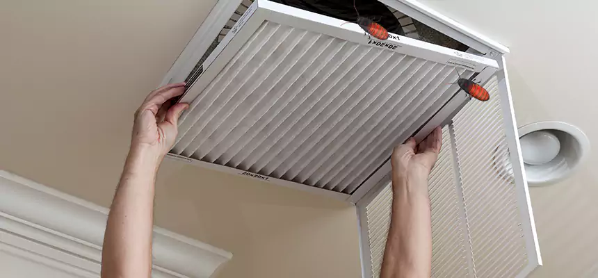 Our Insect Removal from Air Ducts Services in Ramsey, MN
