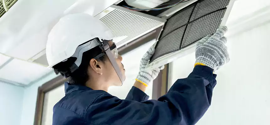 Our Mold & Mildew Removal from Air Ducts Services in Ramsey, MN