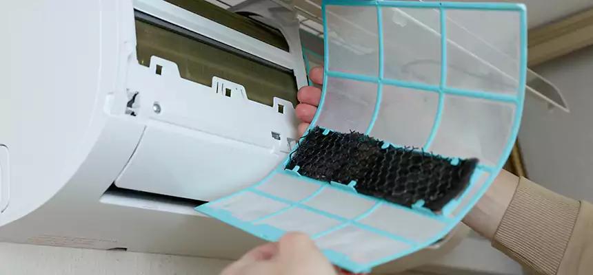 Gentle Ductwork Odor-Control Pet Dander Duct Cleaning in Ramsey, MN