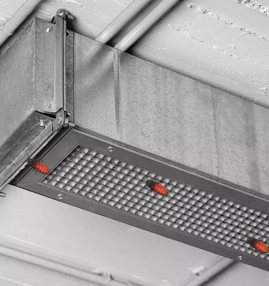 Affordable Insect Removal from Air Ducts in Ramsey, MN