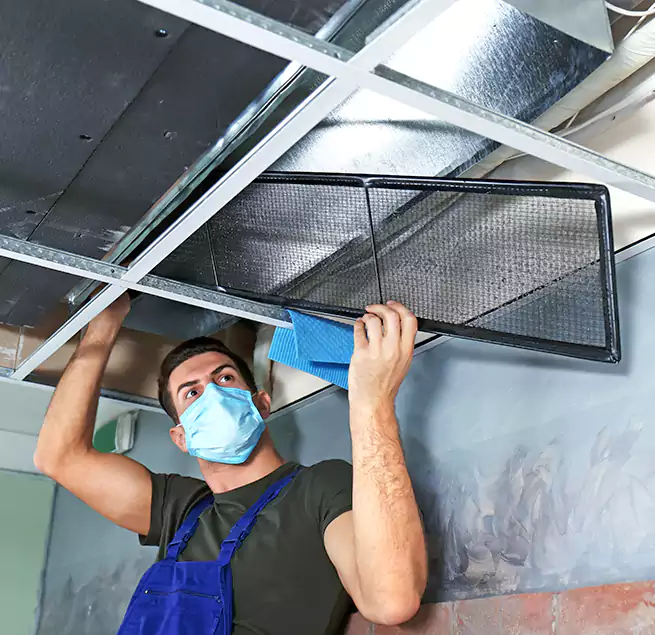 Why Homeowners Businesses Trust Us in Ramsey, MN